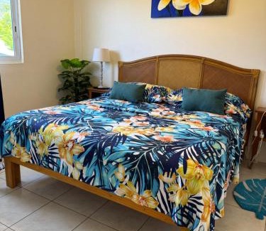 Pa'ofa'i Apartment | Heiata Lodge Papeete