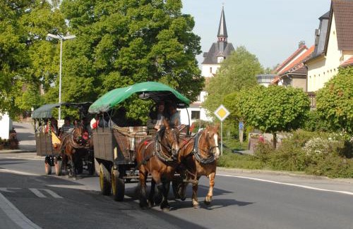Hohenleipisch House | Heidepension Anja