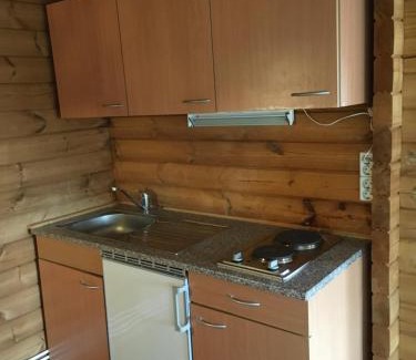 Reykholt Apartment | Heidi Cabin