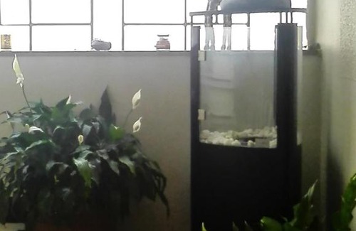 Arnsberg House | Heidi's ART