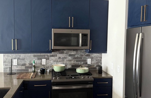 Washington Ave./ Memorial Park Apartment | Heights Urban Loft