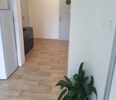 Hejnice Apartment | Hejnice Retreat
