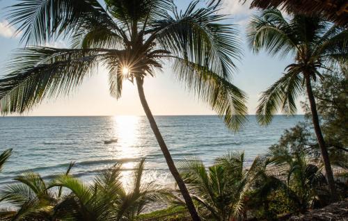 Pingwe Hotel | Hekaya Zanzibar