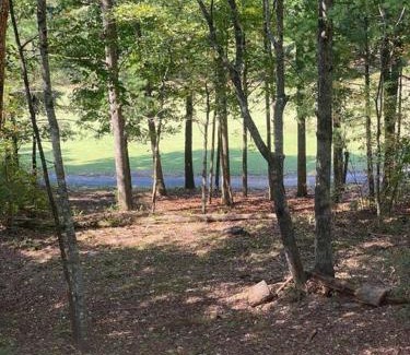 Helen House | Helen, GA Bear Paw Haus 4 bdrm, sleeps 10, fire pit, pool table, on Golf course