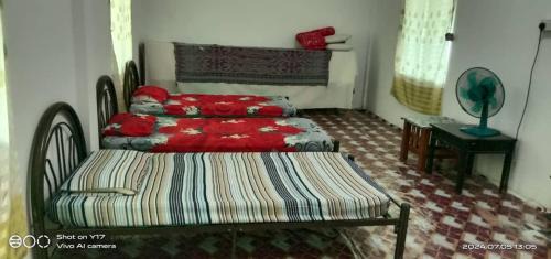 Mulu House | Helena Homestay