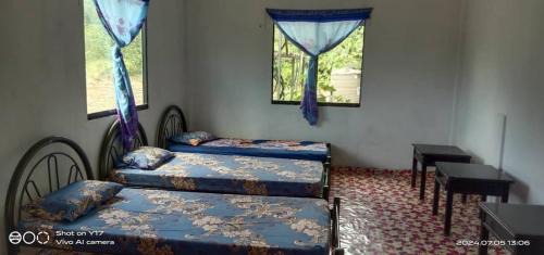 Mulu House | Helena Homestay