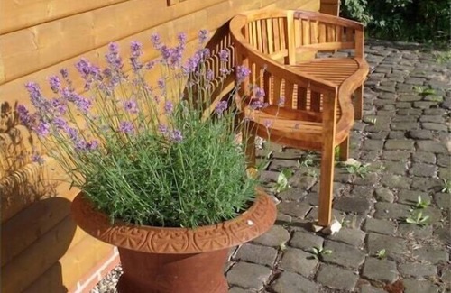 Grenderich Boat Rental | Helga Comfortable holiday residence