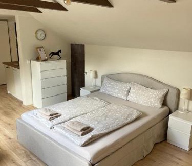 Bad Oeynhausen Apartment | HellbergsApart