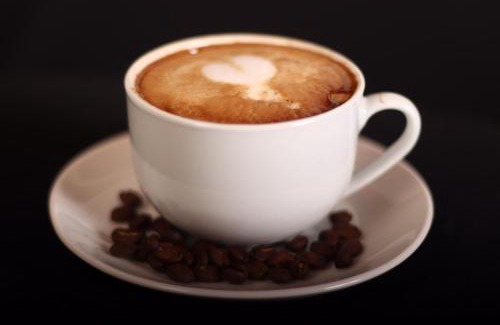 Senekal Cabin | Hendersons Lodge Ltd