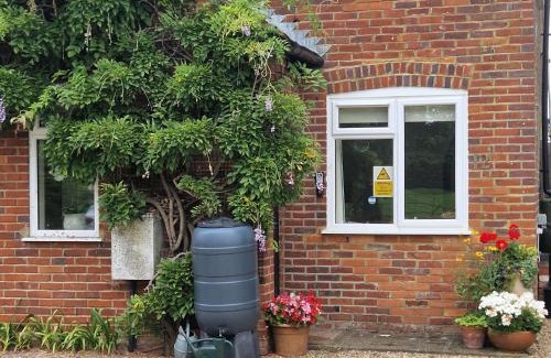 Henley House | Henley-on-Thames Special