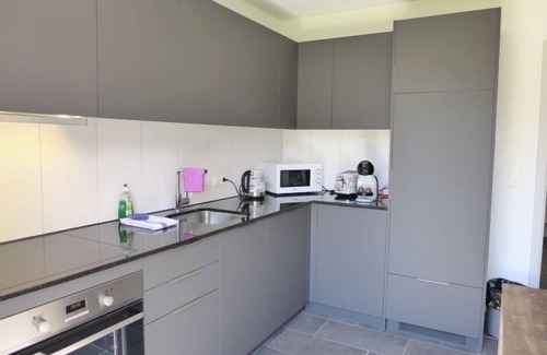Central Interlaken Apartment | Henry's 100 by Interhome