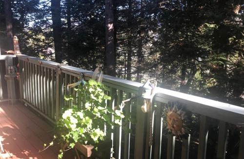 Lodge Hill Bed & Breakfast | Her Castle Bed and Breakfast