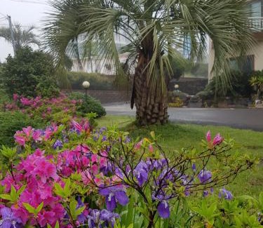 Jungmun House | Hera Castle Pension
