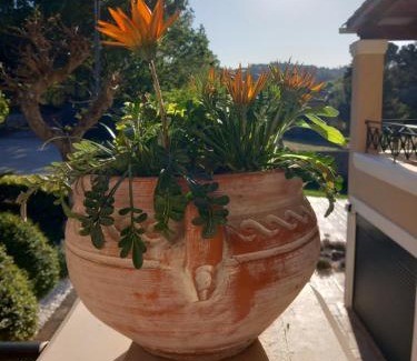Corfu House | Heraklia's house