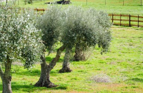 Grandola House | Herdade das Fontainhas