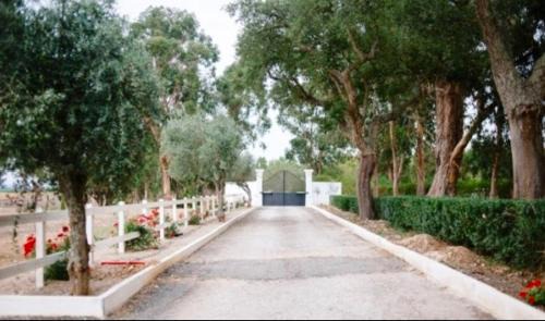 Almeirim Bed & Breakfast | Herdade de Santa Maria