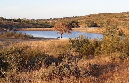 Alandroal House | Herdade dos Mestres