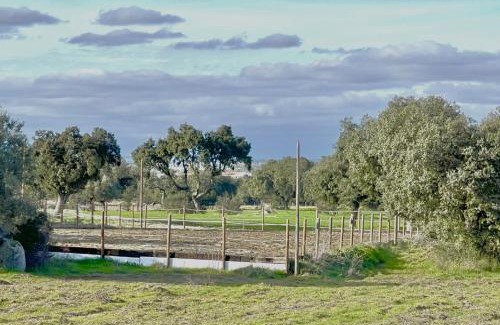 Reguengos de Monsaraz Villa | Herdade Vale Castelo
