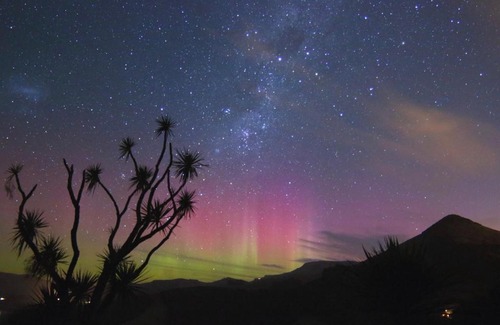 Dunedin Bed & Breakfast | Hereweka Garden Retreat