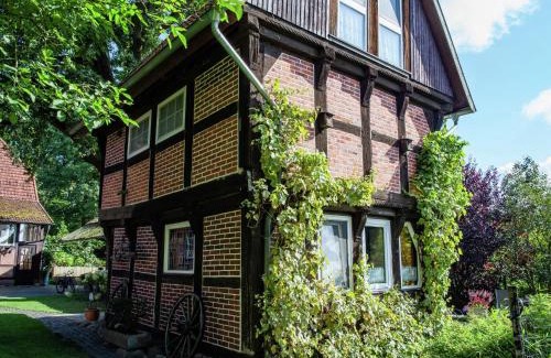 Nordburg House | Heritage Holiday Home In Wienhausen near River
