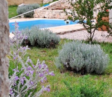 Cista Velika Villa | Heritage House Vrime - stone house with heated pool