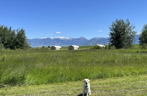 Bozeman Cabin | Heritage Ranch 'Elk' Tent (6)