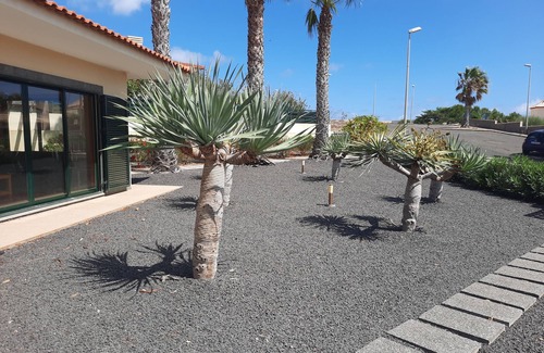 Campo de Baixo Villa | Heritage Villa Porto Santo