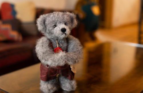 Kitasaku-gun House | HERMANN Teddy Collectors' House - Vacation STAY 06872v