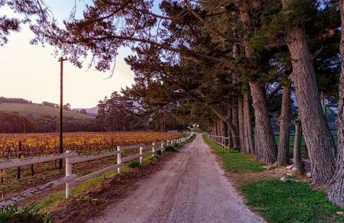 Papiesvlei Apartment | Hermanuspietersfontein Cottages