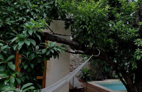 Barrio de Santiago House | Hermosa Casa Antigua con Piscina Tropical