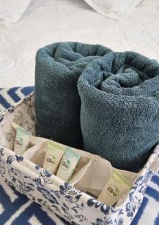 Rancagua Bed & Breakfast | HERMOSA HABITACION con Estacionamiento privado
