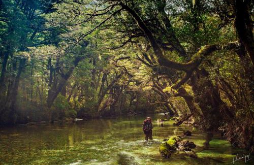 Lanin National Park Hotel | Hermoso Eco Lodge