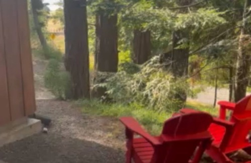 Hornby Island Apartment | Heron Rocks Lookout: Ocean view studio and patio 10 min walk to beach
