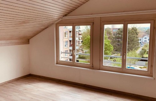Frauenfeld Apartment | herziges Apartment mitten im schoenen Thurgau