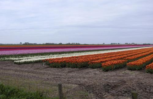 Barsingerhorn Bed & Breakfast | Het Burgemeestershuis