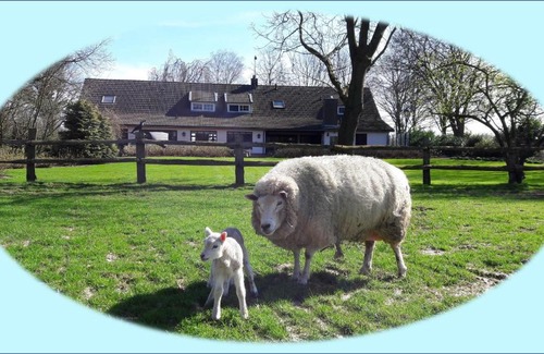 Daland Bed & Breakfast | Het geheim van Merselo