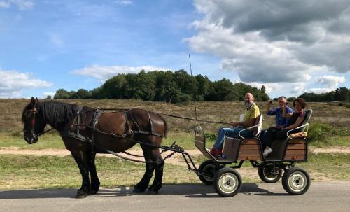 Havelte Apartment | Het Grote Paard