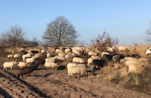 Havelte Apartment | Het Grote Paard