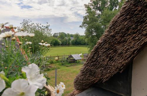 Havelte Apartment | Het Grote Paard