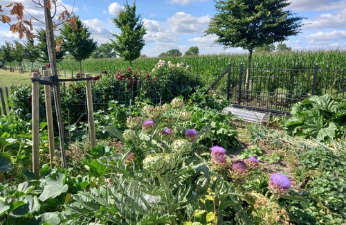Dentergem Bed & Breakfast | Het Meikenshof