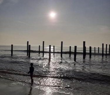 Petten Ski Chalet | Het Zeepaardje Petten aan Zee