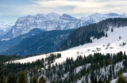 Schwarzenberg Apartment | HEUBERG 1014 - FERIEN - Wohnen