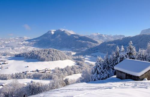 Schwarzenberg Apartment | HEUBERG 1014 - FERIEN - Wohnen