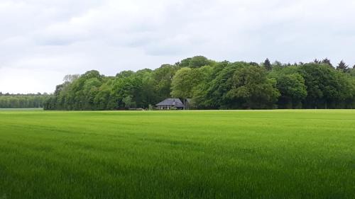 Werlte House | Heuerhaus Gut Einhaus