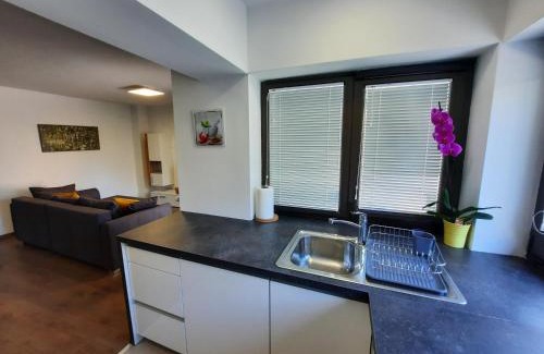 Zaga Apartment | Hiša Špuntar