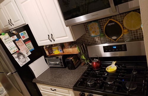 Berkeley Manor House | Hibiscus Hideaway nCozy home, Pet Friendly, Pool, Hot Tub, Kayaks & Bikes