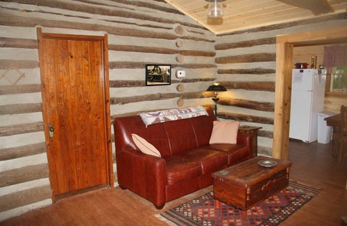 Gerton Cabin | Hickory Nut Lodge, Romantic, Cozy, Amazing Views, Hot Tub, Fireplace, Pets OK