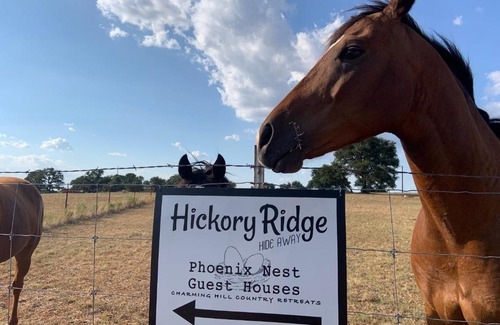 Llano House | Hickory Ridge Hideaway Cabin - Romantic, Peaceful