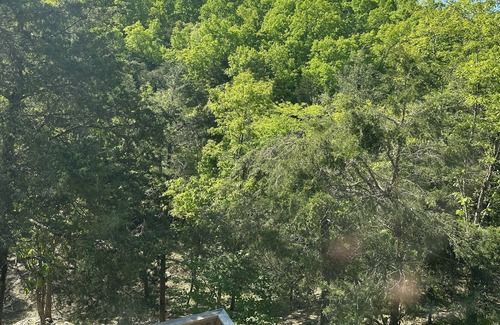 Mountain Home House | Hidden Gem Hidaway in Mountain Home, Arkansas