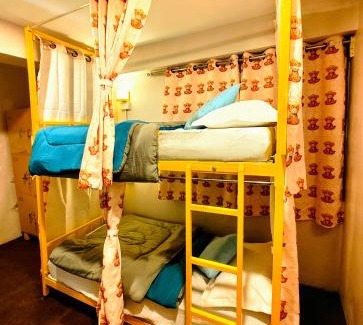 Darjeeling Hostel | Hidden Monkey Backpackers Darjeeling, Batasia